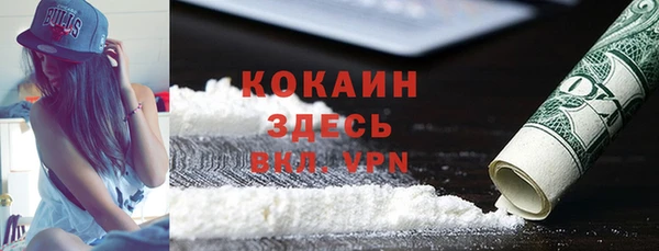 ГАЛЛЮЦИНОГЕННЫЕ ГРИБЫ Нея