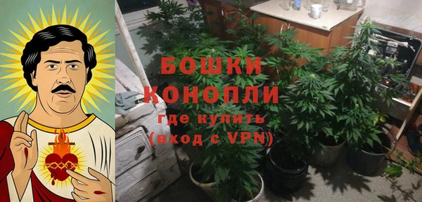 ГАЛЛЮЦИНОГЕННЫЕ ГРИБЫ Нея