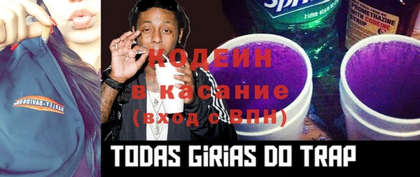ГАЛЛЮЦИНОГЕННЫЕ ГРИБЫ Нея