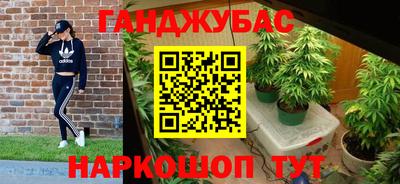 шишки Гусиноозёрск