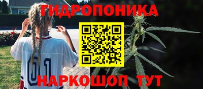 хмурый Гусь-Хрустальный