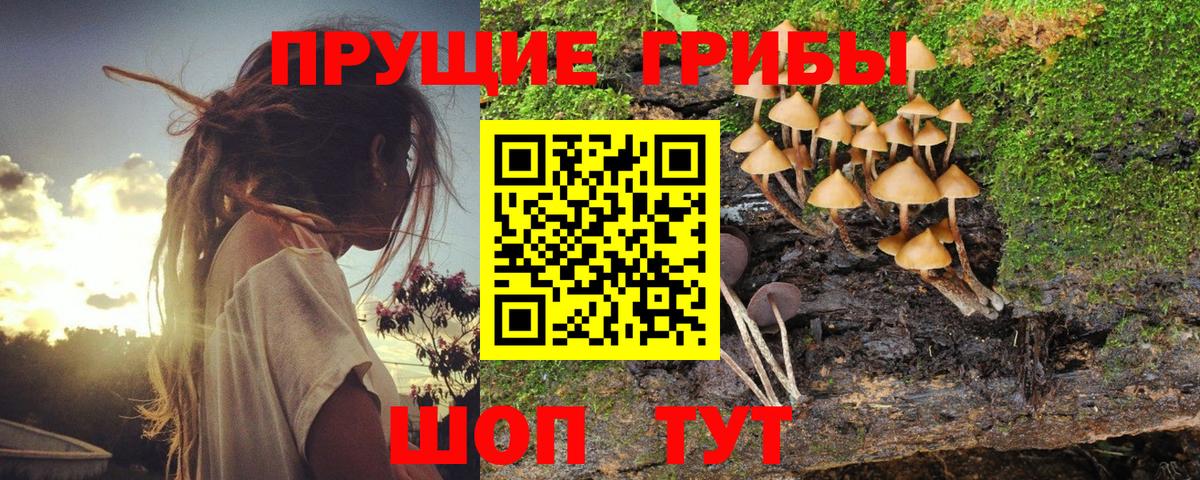 Галлюциногенные грибы мицелий Крымск