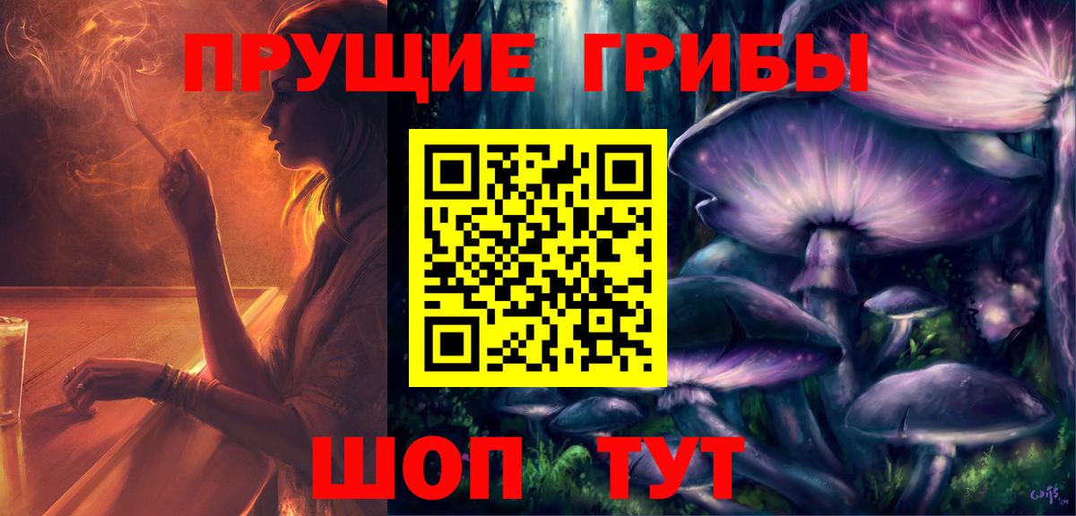 Галлюциногенные грибы Psilocybe Крымск