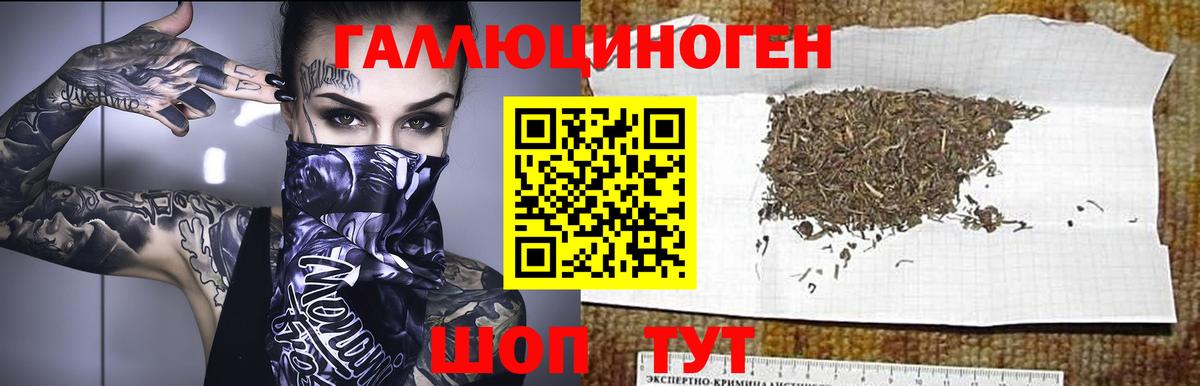Псилоцибиновые грибы GOLDEN TEACHER  Галлюциногенные грибы Cubensis  наркота  Крымск 